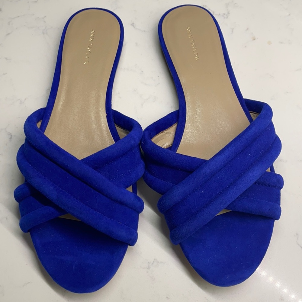 Ann Taylor Gretel suede sandals